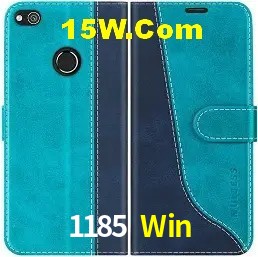 Casino Ao Vivo 1185 Win