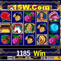 Tecnologia da Plataforma 1185 Win